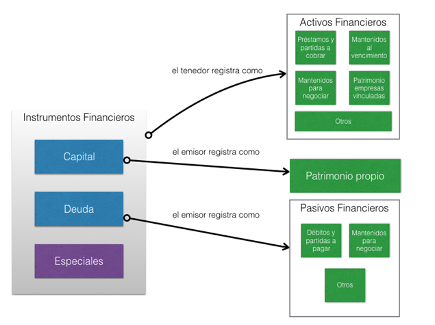 Caso Practico Clasificacion De Instrumentos Financieros Por Emisor Y Tenedor Iberley
